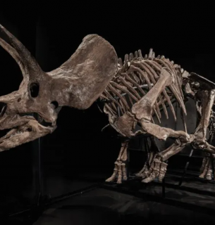 Фото thepage.ua/