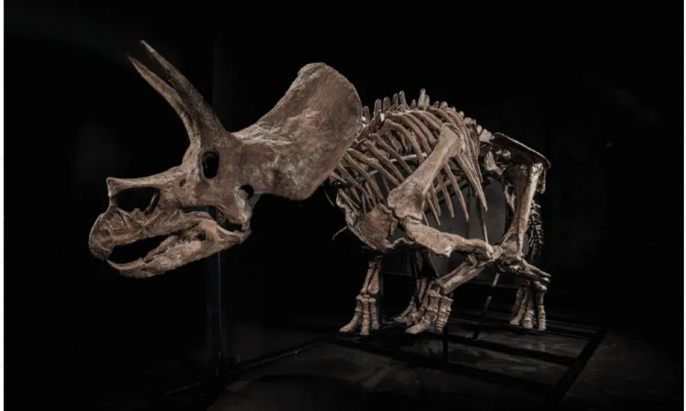 Фото thepage.ua/