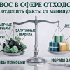Проблема не в законе: как процедуру оценки воздействия на окружающую среду сделали «виновной» в сфере отходов