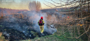 Пожежі в екосистемах Черкащини 2026: ДСНС ліквідували 14 займань за два дні