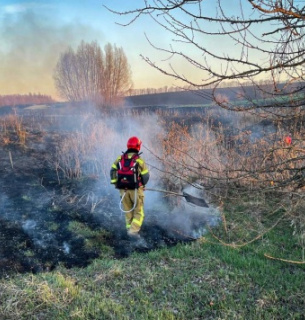 Пожежі в екосистемах Черкащини 2026: ДСНС ліквідували 14 займань за два дні