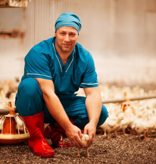 Фото з відкритих джерел