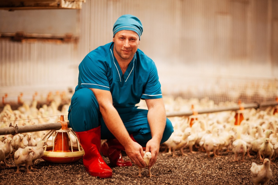 Фото з відкритих джерел