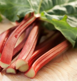 Сезон ревеня 2026