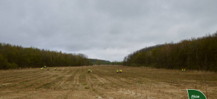 На Рівненщині повертають до життя 150 гектарів промислових земель | GreenPost