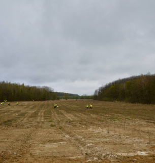 На Рівненщині повертають до життя 150 гектарів промислових земель | GreenPost