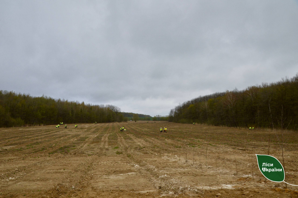 На Рівненщині повертають до життя 150 гектарів промислових земель | GreenPost