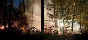 Пожежа в Кирилівському лісництві через атаку БпЛА