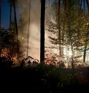 Пожар в Кирилловском лесничестве из-за атаки БПЛА