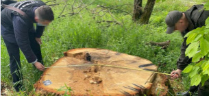 Фото: Державне бюро розслідувань