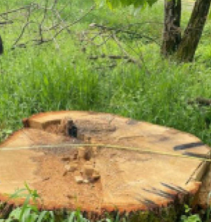 Фото: Державне бюро розслідувань