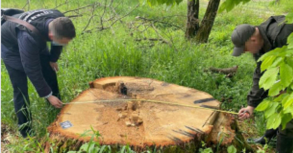 Фото: Государственное бюро расследований