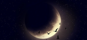 Молодик 17 квітня 2026: особливості енергетики та поради