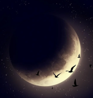 Молодик 17 квітня 2026: особливості енергетики та поради