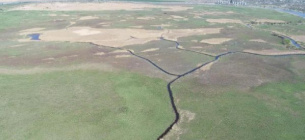 Новый заказник «Ковалевские плавни» в Николаевской области: защита биотопов Южного Буга 