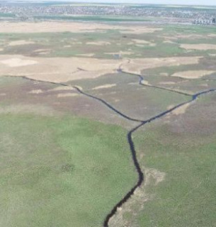 Новий заказник «Ковалівські плавні» на Миколаївщині: захист біотопів Південного Бугу 