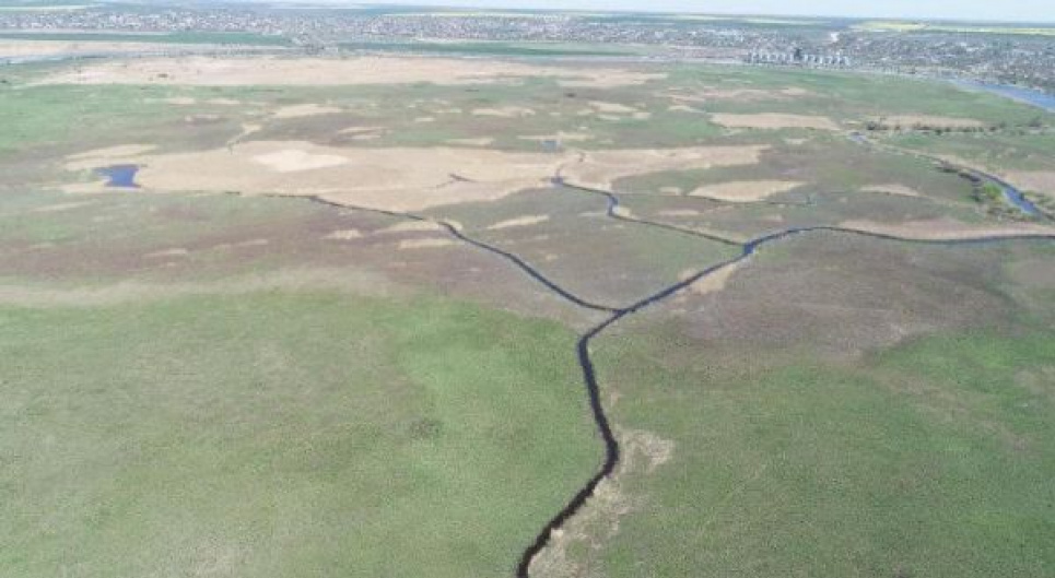 Новий заказник «Ковалівські плавні» на Миколаївщині: захист біотопів Південного Бугу 