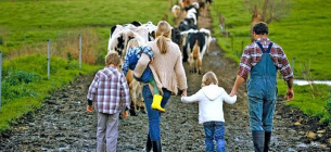 Как получить средства на развитие семейного фермерского хозяйства в 2026 году