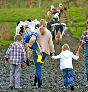 Як отримати кошти на розвиток сімейного фермерського господарства у 2026 році