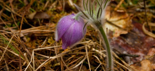 Фото Дениса Вишневського