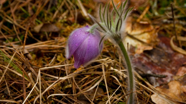 Фото Дениса Вишневського