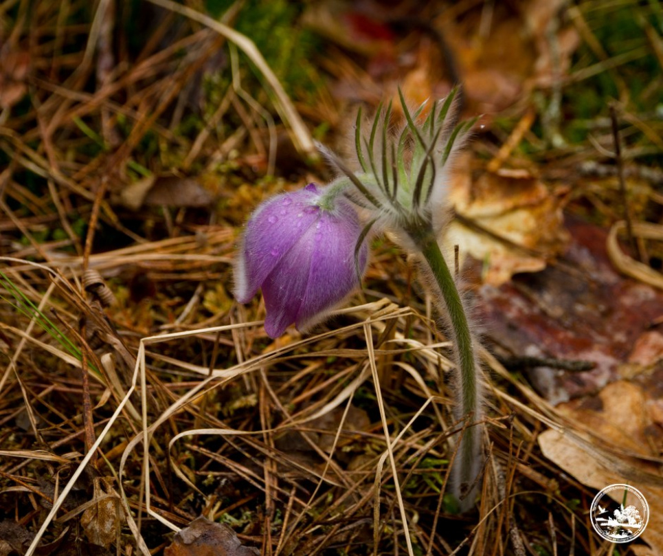 Фото Денис Вишневский