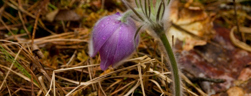Фото Дениса Вишневського