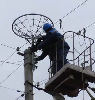 На Черкащині встановили 30 штучних гнізд для лелек