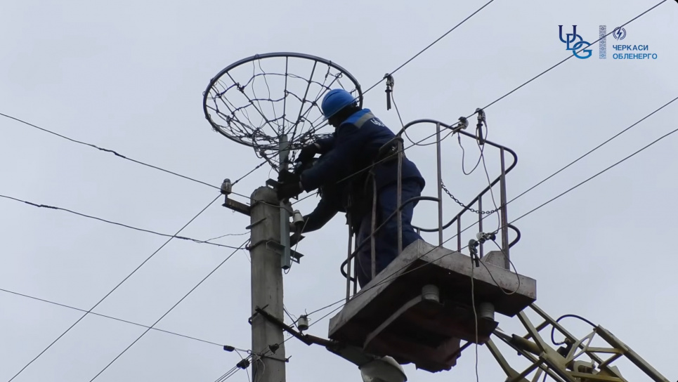 В Черкасской области установили 30 искусственных гнезд для аистов