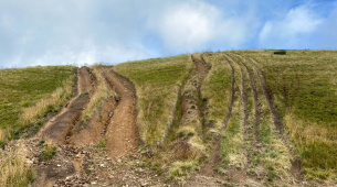 Фото Ігор Дикий