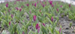 Фото Вита Олексишин