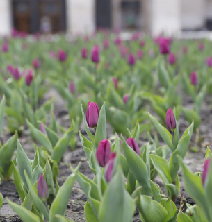 Фото Віта Олексишин