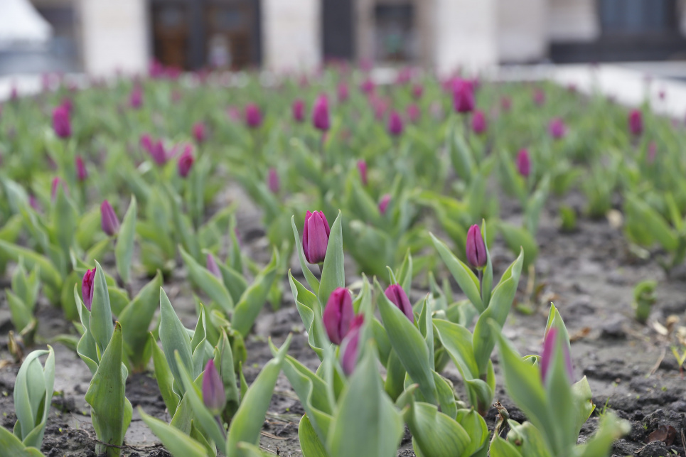 Фото Вита Олексишин