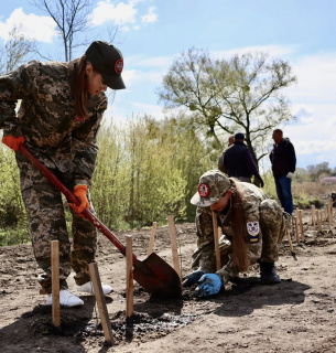Фото: Ліси України