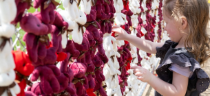 Photo by SAUL LOEB / AFP