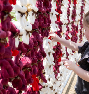 Photo by SAUL LOEB / AFP