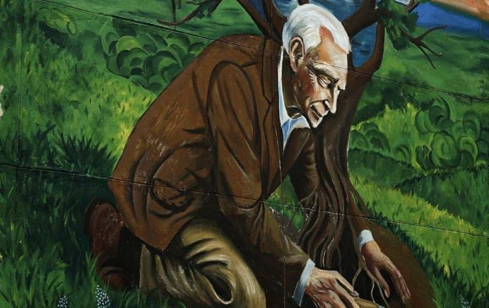 Мурал Вадиму Сердцеву в Николаеве: дань уважения легендарному озеленителю