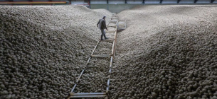 Фото: Dpa Picture Alliance/Alamy