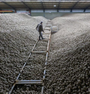 Фото: Dpa Picture Alliance/Alamy