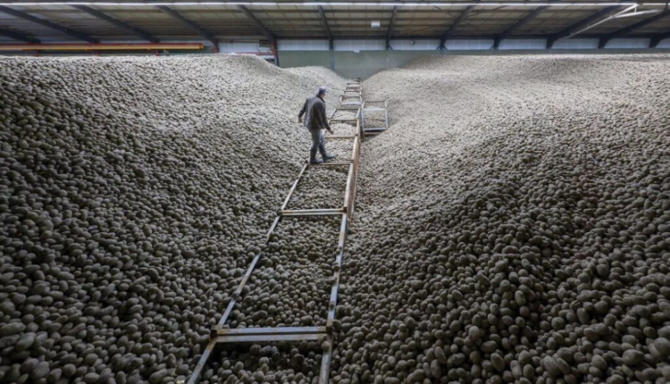 Фото: Dpa Picture Alliance/Alamy