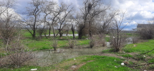В Одесской области остановили загрязнение земель 