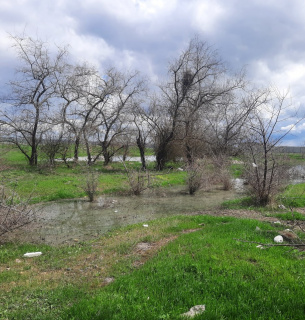 Екологічна перемога на Одещині: у селищі Наті ліквідовано витік стічних вод