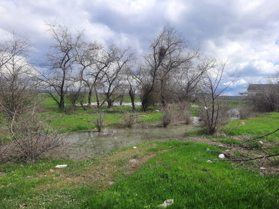 Екологічна перемога на Одещині: у селищі Наті ліквідовано витік стічних вод