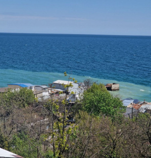 Фото: Balinskyy Vladislav / Facebook