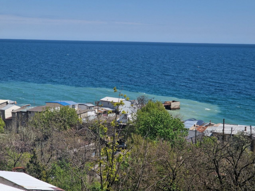 Фото: Balinskyy Vladislav / Facebook