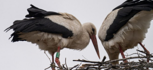  Фото Владимира Невмержицкого