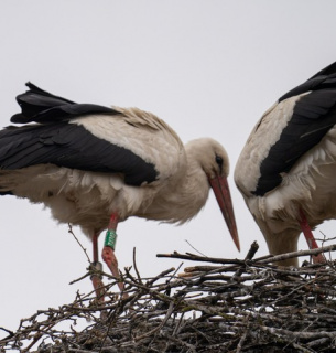 Фото Володимира Невмержицького