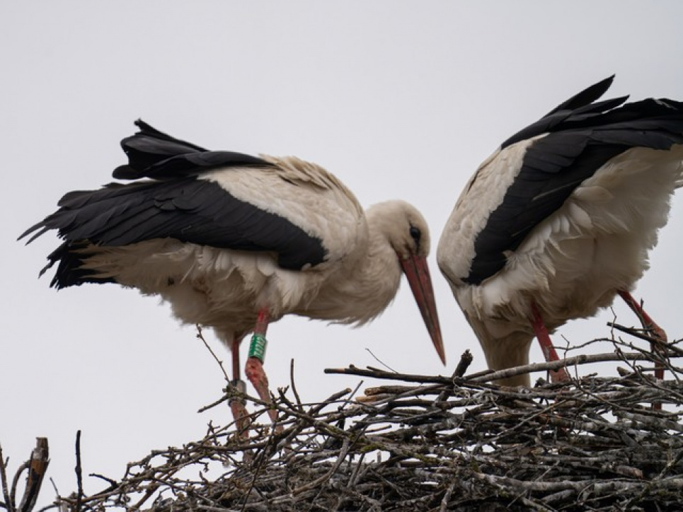  Фото Владимира Невмержицкого