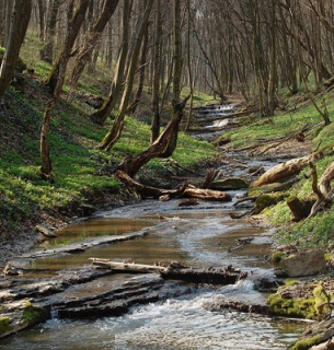 Фото: Хмельницька обласна прокуратура 