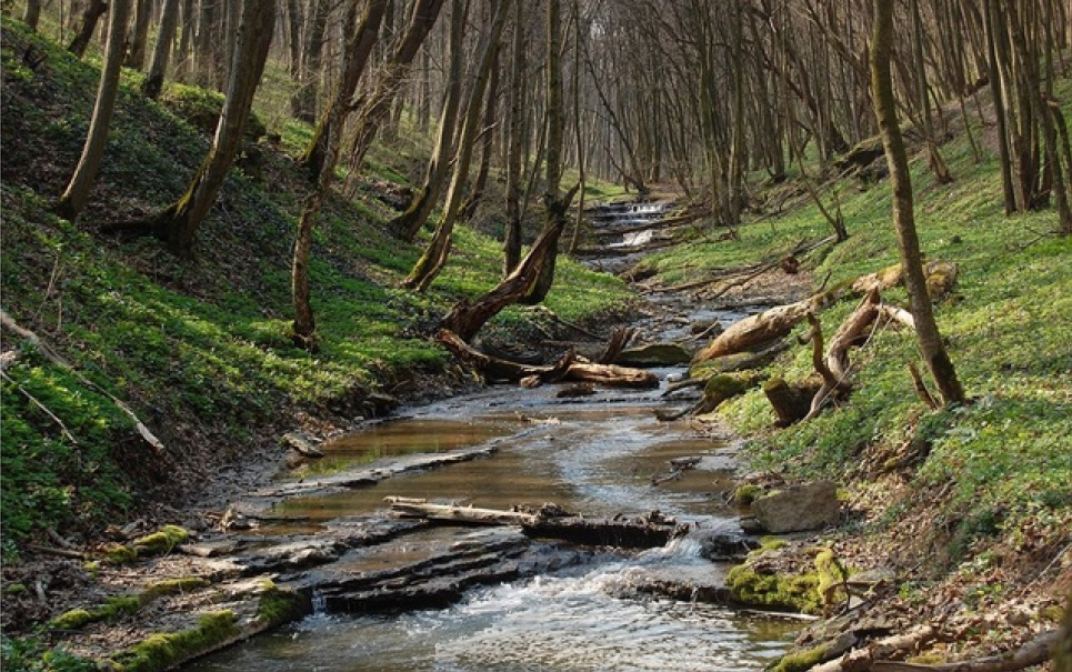 Фото: Хмельницька обласна прокуратура 